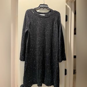 Ann Taylor Loft petite large dress